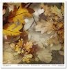 Papeles Scrapbooking SLS-069 Autumn Love Story
